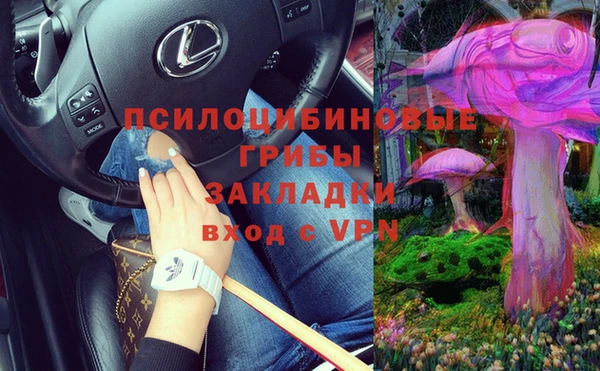 a pvp Верея