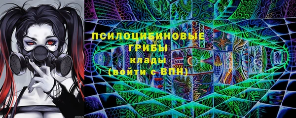 амф Верхний Тагил
