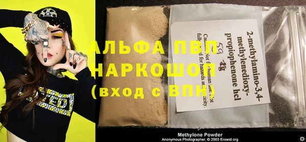 амф Верхний Тагил