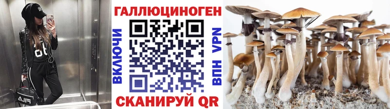Псилоцибиновые грибы MAGIC MUSHROOMS  Улан-Удэ 